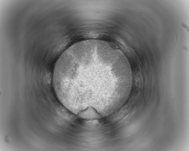 X0000095890374200802011112