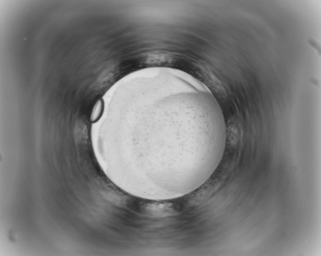 X0000095890375200802011112