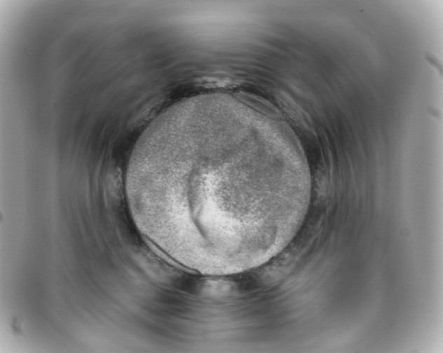 X0000095890376200802011112