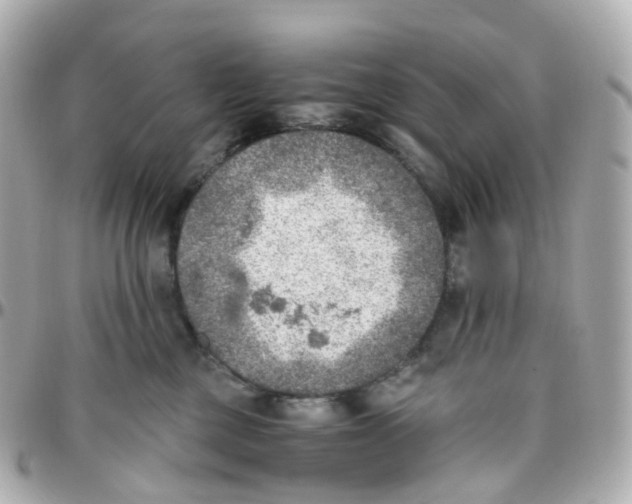 X0000095890377200802011112