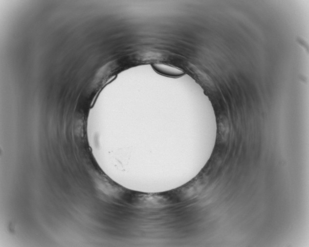X0000095890379200802011112