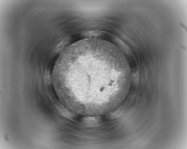 X0000095890381200802011112