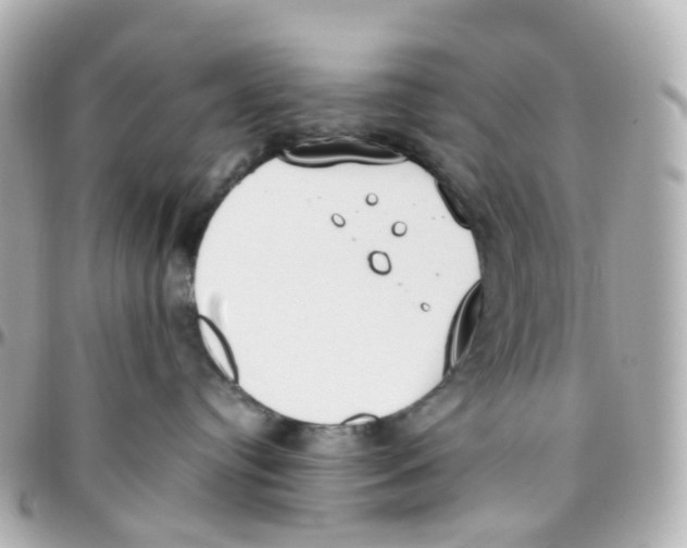 X0000095890384200802011112
