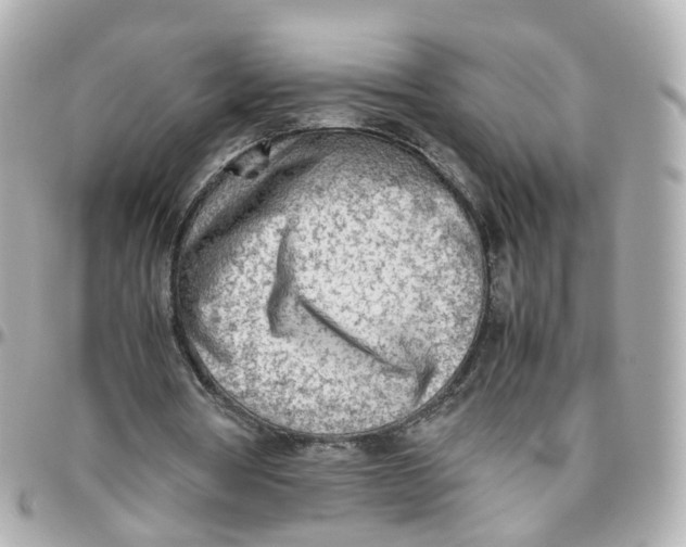 X0000095890386200802011111