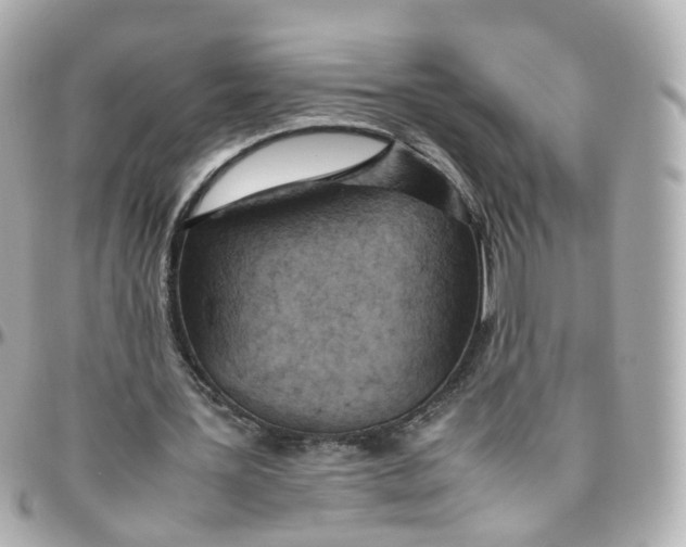 X0000095890387200802011111