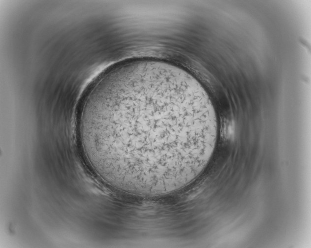 X0000095890388200802011111