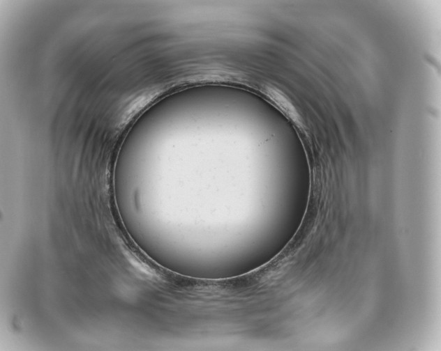 X0000095890389200802011111