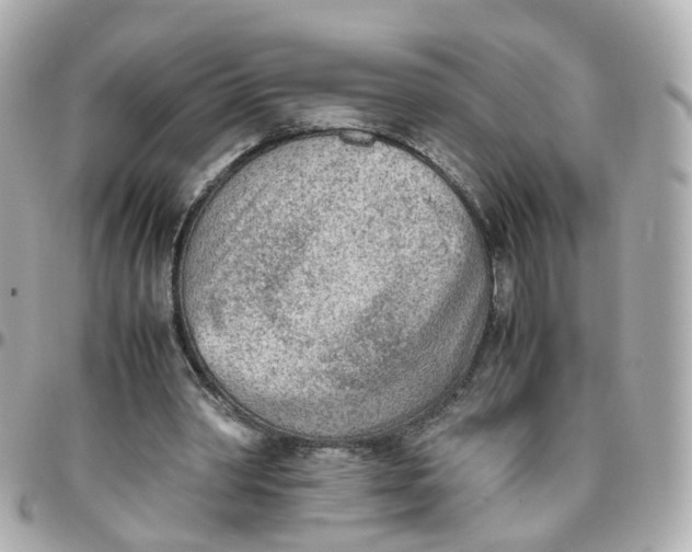 X0000095890390200802011111