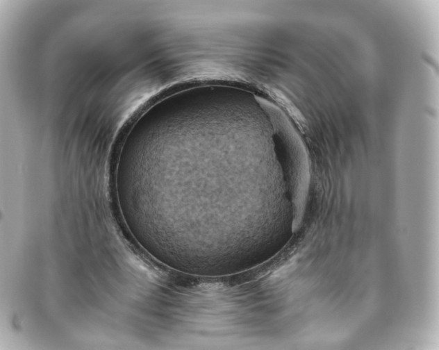 X0000095890391200802011111