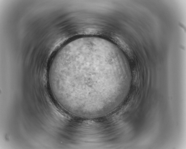 X0000095890392200802011111