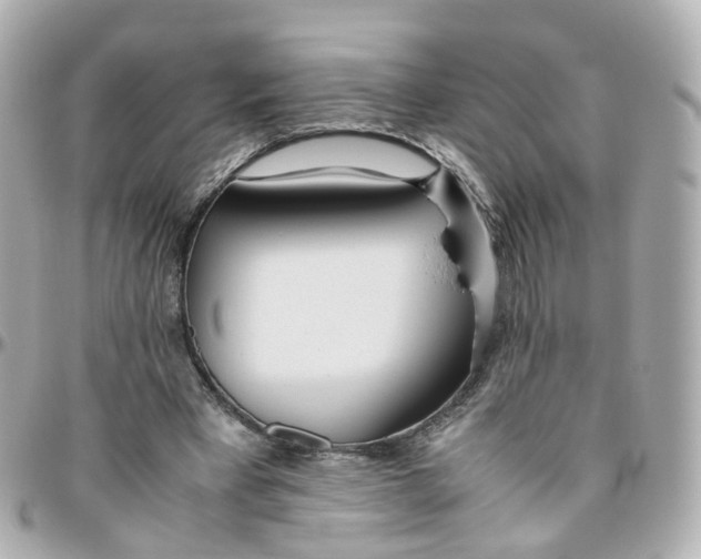 X0000095890393200802011111