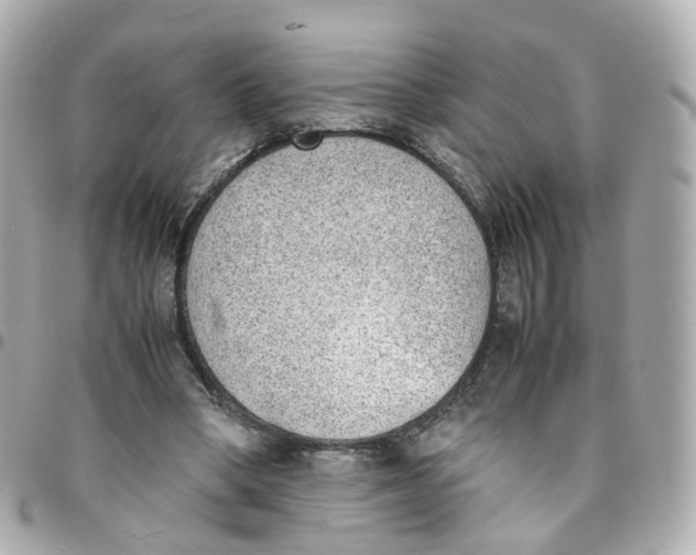 X0000095890394200802011111