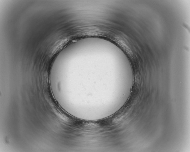 X0000095890397200802011111