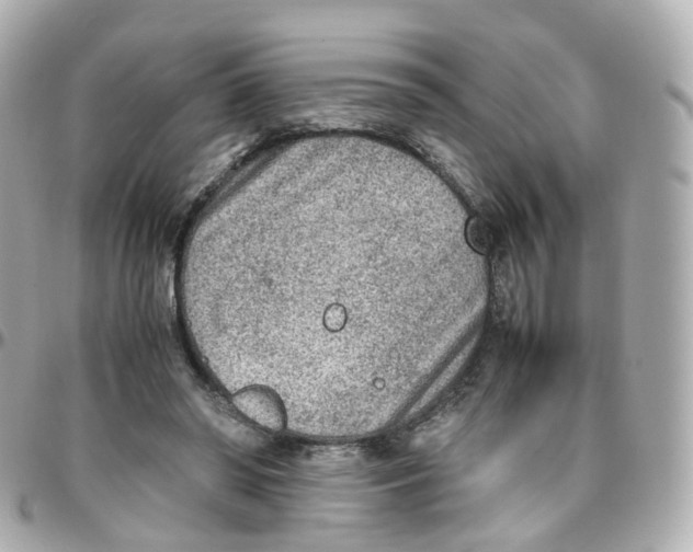 X0000095890398200802011111