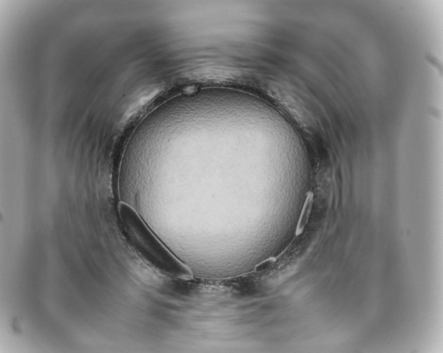 X0000095890399200802011111