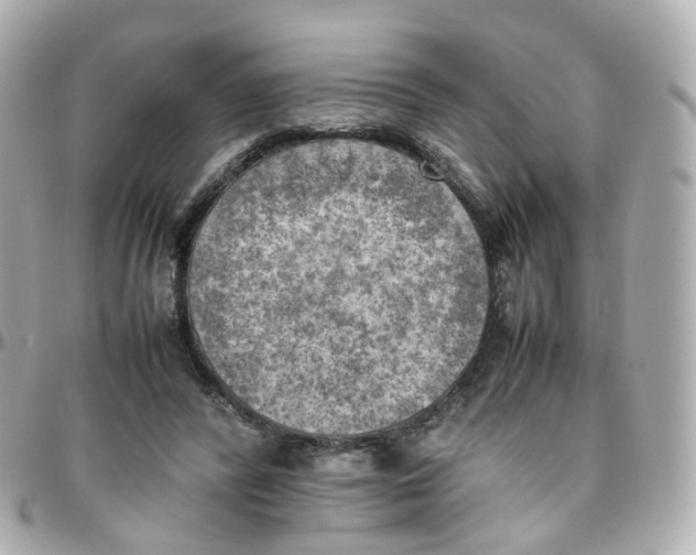 X0000095890400200802011111