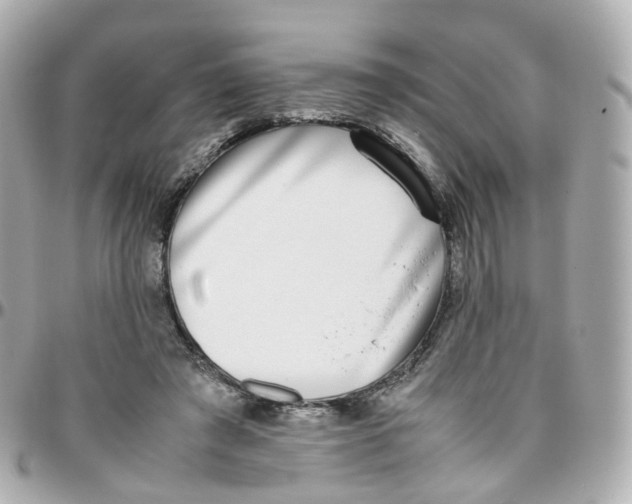 X0000095890401200802011111