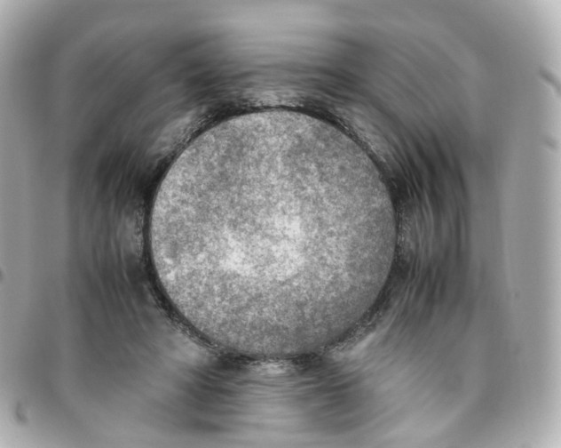 X0000095890402200802011111