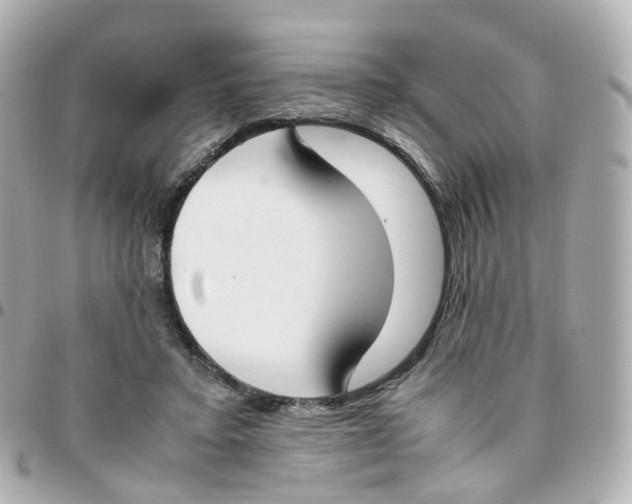 X0000095890403200802011111
