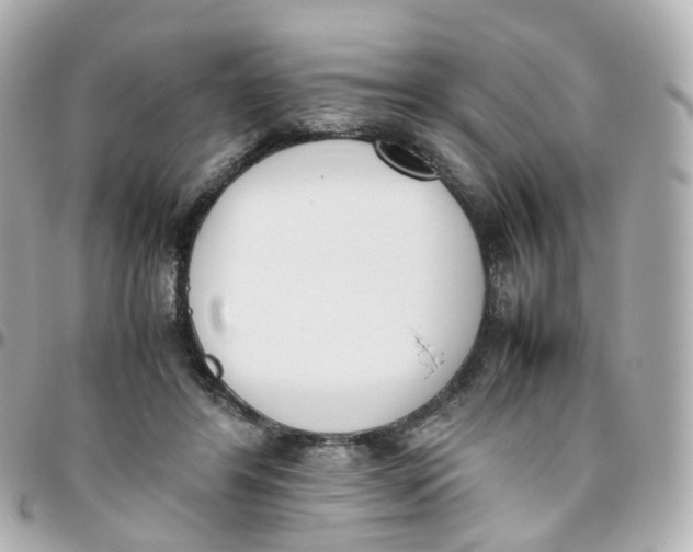 X0000095890404200802011111