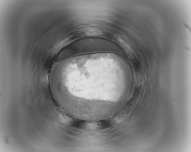 X0000095890405200802011111