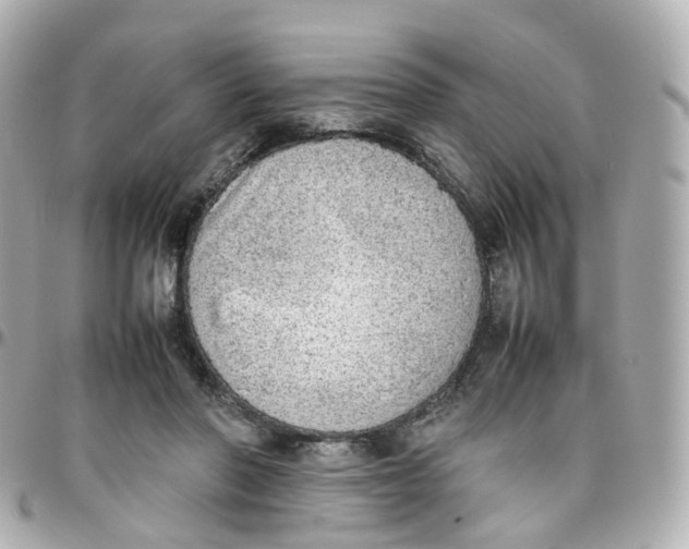 X0000095890406200802011111