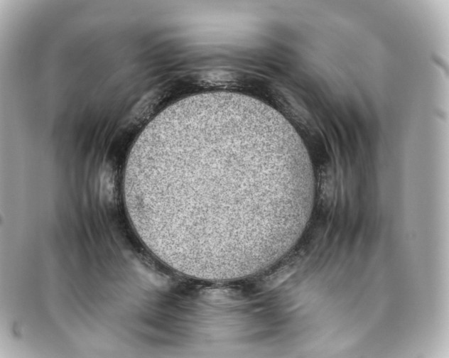 X0000095890408200802011111