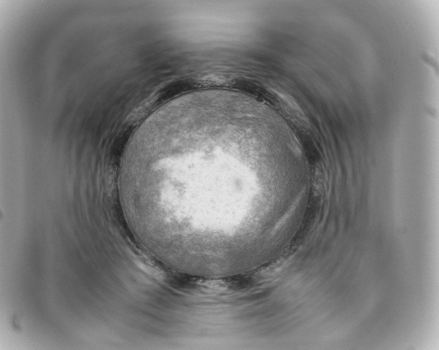 X0000095890409200802011111