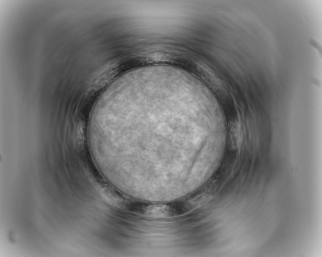 X0000095890410200802011111