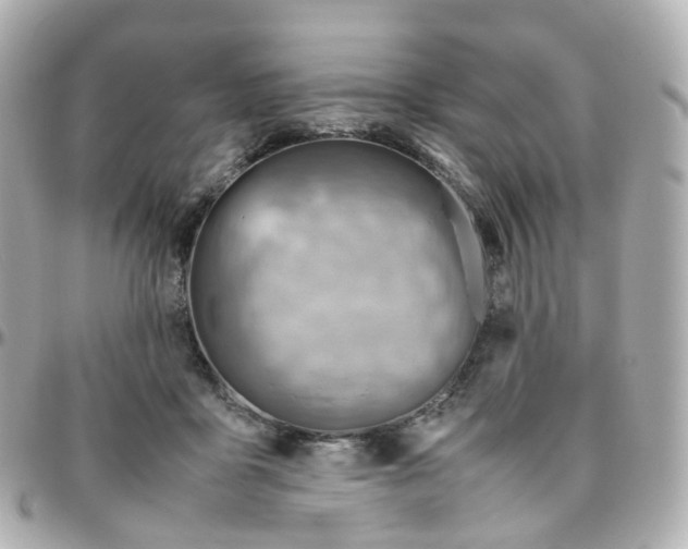 X0000095890411200802011111