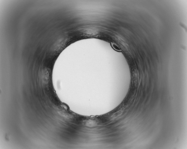 X0000095890412200802011111