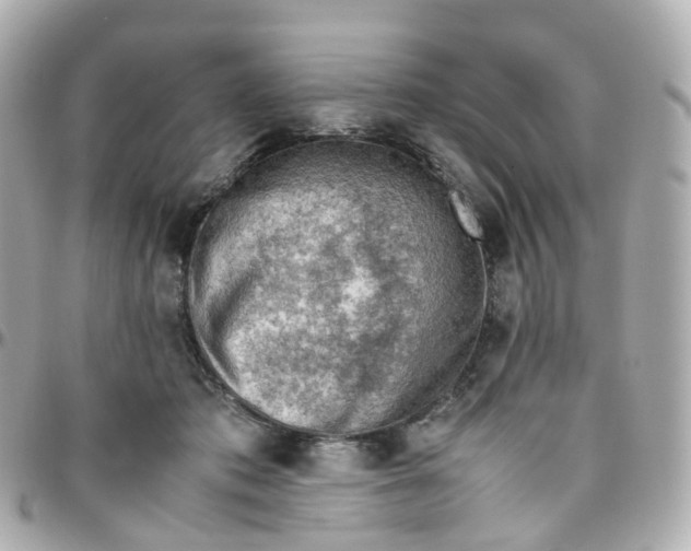 X0000095890413200802011111