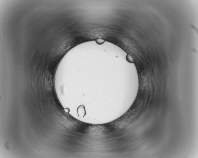 X0000095890414200802011111