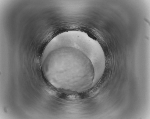 X0000095890415200802011111