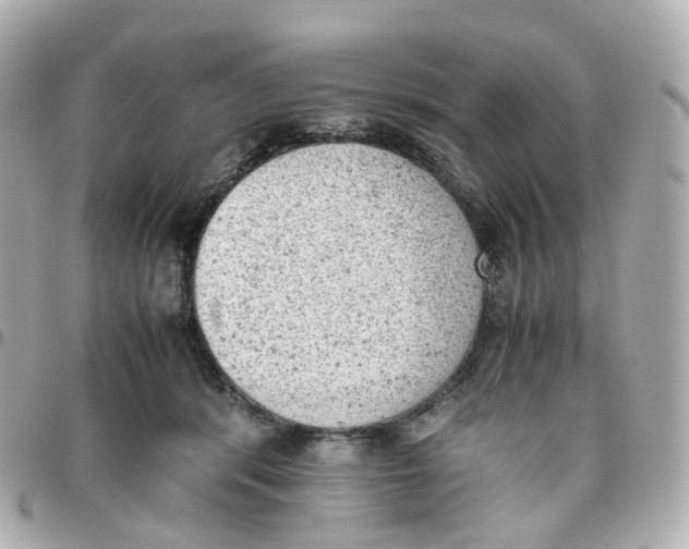 X0000095890416200802011111