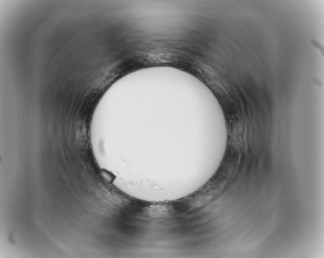 X0000095890418200802011111