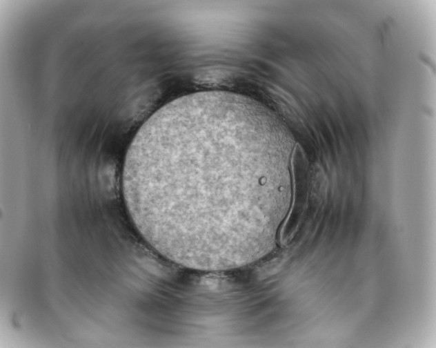 X0000095890420200802011111