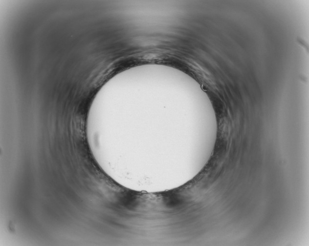 X0000095890421200802011111