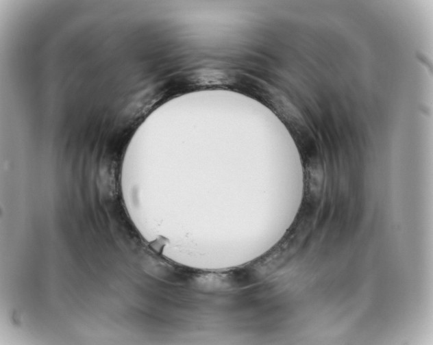 X0000095890422200802011111