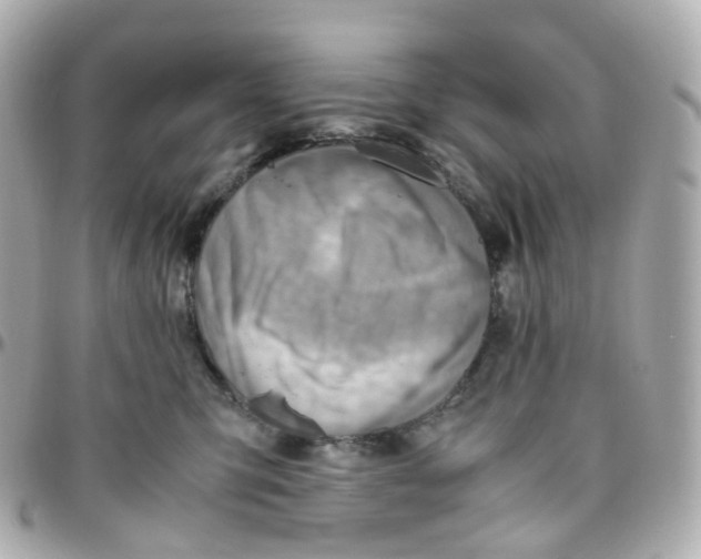 X0000095890423200802011110