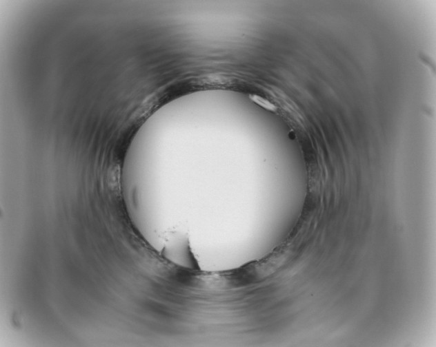 X0000095890425200802011110