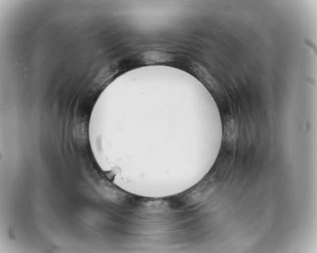 X0000095890426200802011110