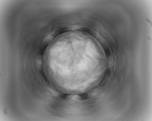 X0000095890427200802011110