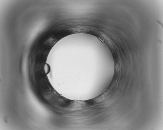 X0000095890429200802011110