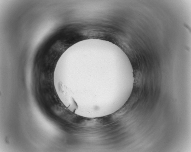 X0000095890430200802011110