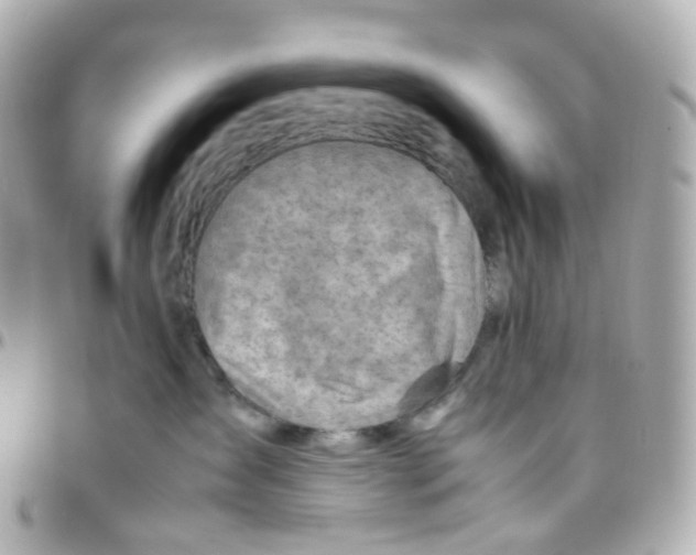 X0000095890431200802011110