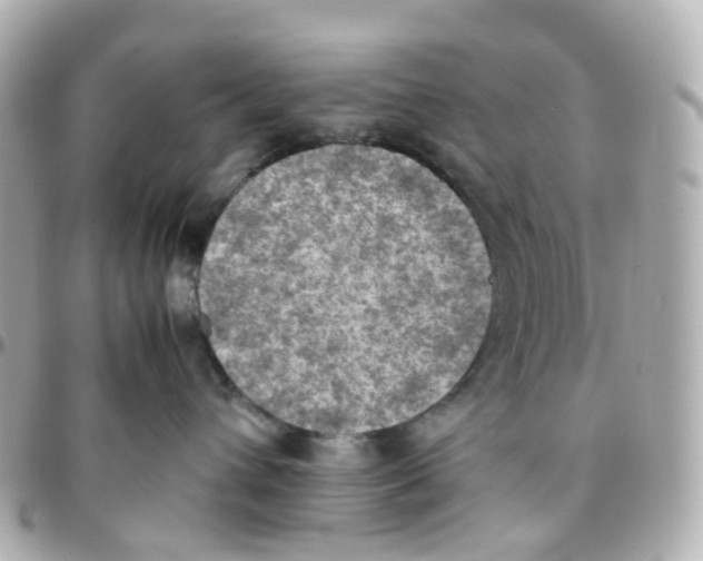 X0000095890432200802011110