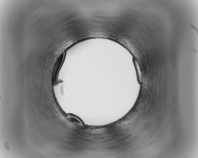 X0000095890433200802011110