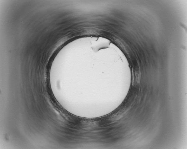 X0000095890435200802011110