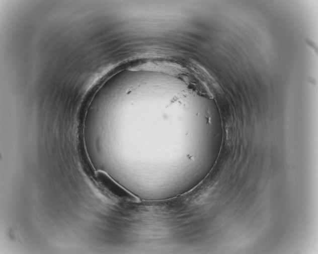 X0000095890436200802011110